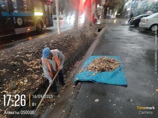 Алматы принял половину сентябрьской нормы осадков за один вечер