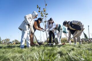 «Таза Қазақстан»: в Жетісу награждены лучшие чистые села и районные центры