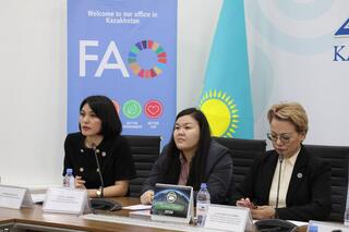 В Астане состоялся семинар по вопросам декарбонизации бизнеса и привлечения климатического финансирования