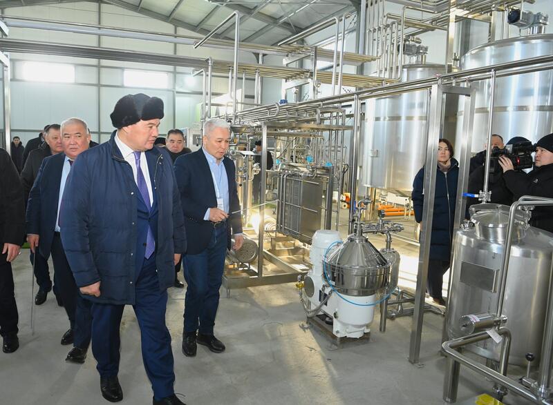 Глава региона проверил строительство завода по производству сухого порошка из верблюжьего молока