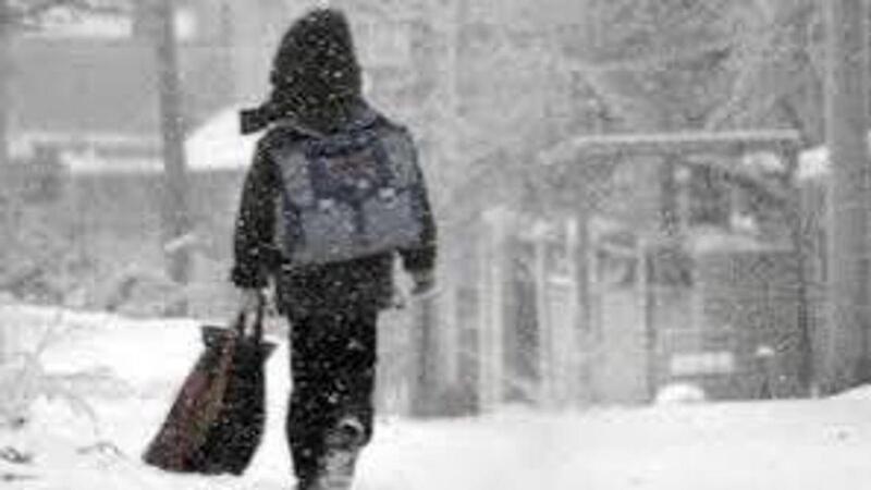 Учащиеся 0-9 классов столичных школ переведены на онлайн-обучение