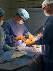 Донор из СКО спас жизни троих пациентов