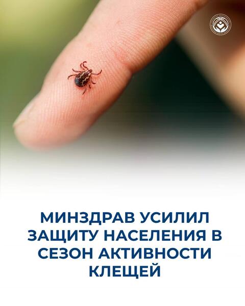 МИНЗДРАВ УСИЛИЛ ЗАЩИТУ НАСЕЛЕНИЯ В СЕЗОН АКТИВНОСТИ КЛЕЩЕЙ