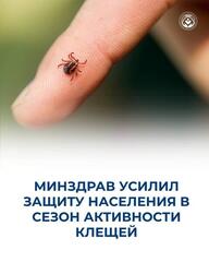 МИНЗДРАВ УСИЛИЛ ЗАЩИТУ НАСЕЛЕНИЯ В СЕЗОН АКТИВНОСТИ КЛЕЩЕЙ