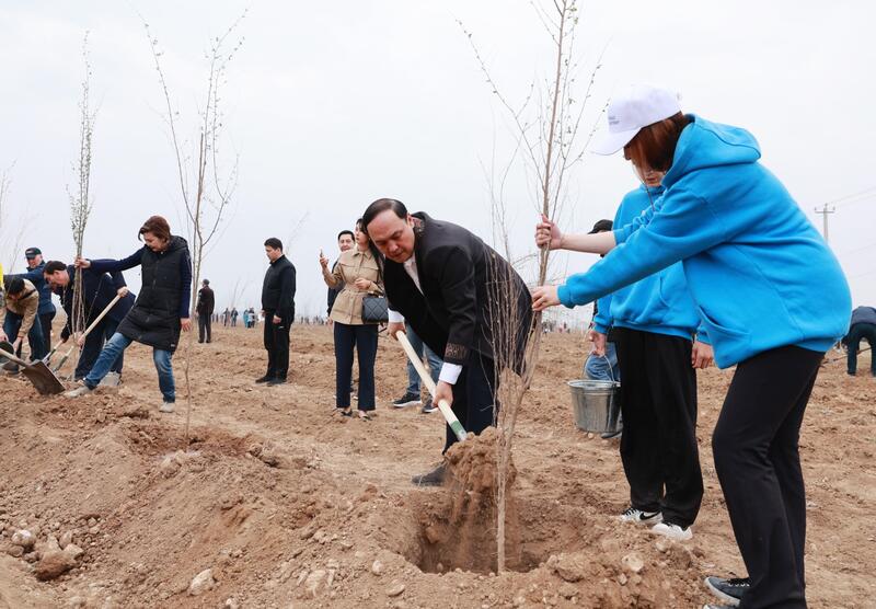 Таза Қазақстан: в Таразе высажено 10 тысяч деревьев