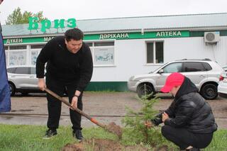 В Бородулихинском районе проводятся работы по благоустройству, санитарной очистке и озеленению