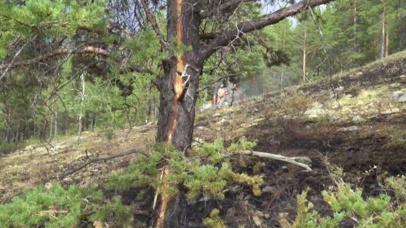 Обсуждены вопросы возникновения лесостепных пожаров из-за грозовых разрядов