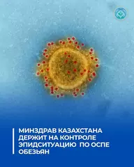 МИНЗДРАВ КАЗАХСТАНА ДЕРЖИТ НА КОНТРОЛЕ ЭПИДСИТУАЦИЮ ПО ОСПЕ ОБЕЗЬЯН