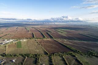 В области Жетісу в этом году посевные площади составят порядка 512 тыс. га