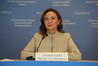 Новый парк и 35 проектов благоустройства реализуют в Наурызбайском районе Алматы