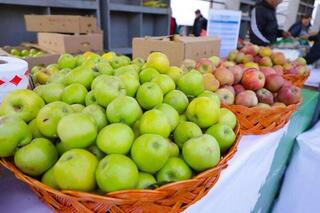 В Астане в эти выходные стартуют сельскохозяйственные ярмарки