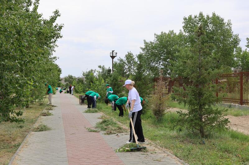 Более 130 жителей Курчатова вышли на уборку берега Иртыша в рамках экологической акции