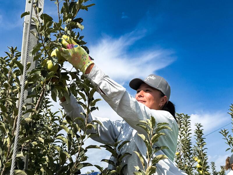 Сельхозтоваропроизводители Алматинской области экспортируют продукцию АПК в 50 стран