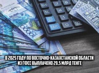 За 2025 год по Восточно-Казахстанской области из ГФСС выплачено 29,5 млрд.тенге