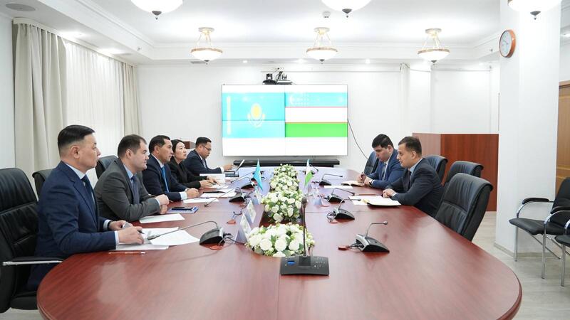 Встреча между представителями Министерства экологии и природных ресурсов и Посольства Республики Узбекистан в Республике Казахстан