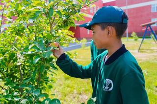 «Таза Қазақстан»: столичные школьники посадили яблоневый сад