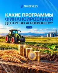 Какие программы финансирования доступны агробизнесу