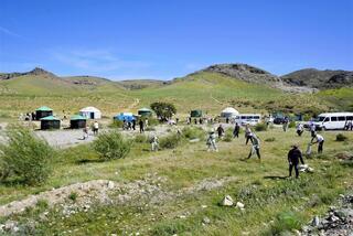 «ТАЗА ҚАЗАҚСТАН»: В ТУРКЕСТАНСКОЙ ОБЛАСТИ РАБОТНИКИ КУЛЬТУРЫ ПОСАДИЛИ 1000 ДЕРЕВЬЕВ