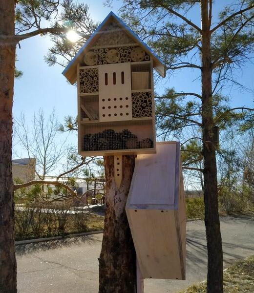 Экопроект: в Карагандинском университете имени Е. А. Букетова открыли «гостиницу» для полезных насекомых