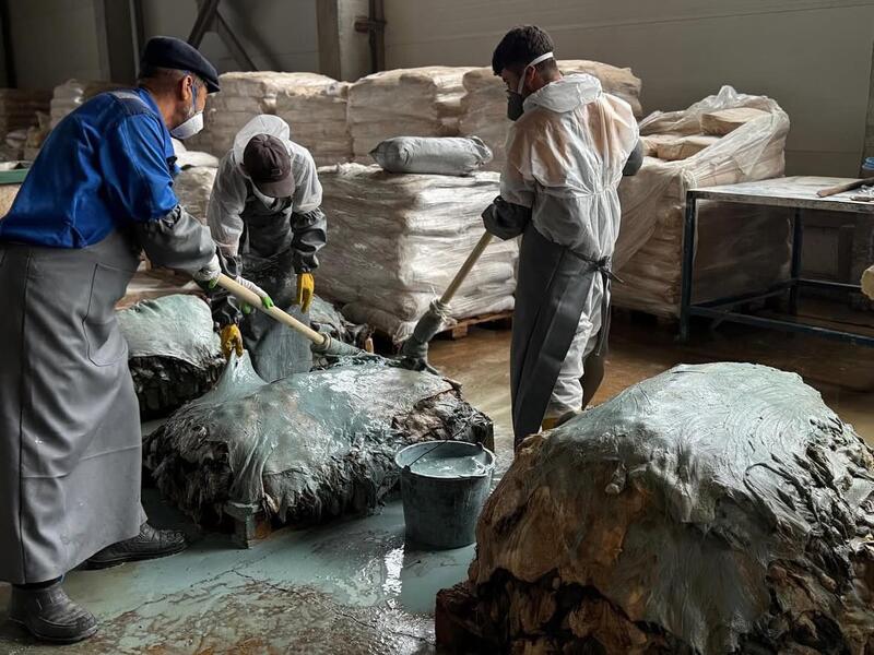 В Западно-Казахстанской области будут перерабатывать более 800 тысяч шкур в год