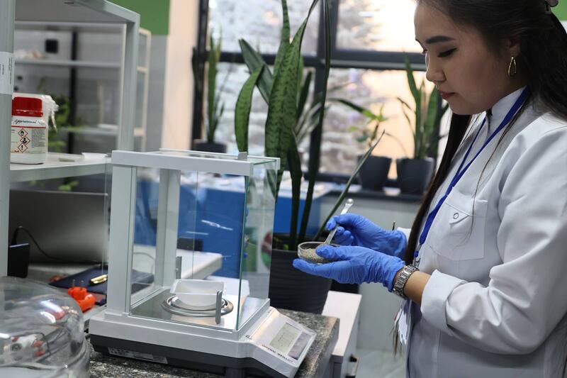 Ученые Сатпаева разработали ценные материалы из сельхозотходов