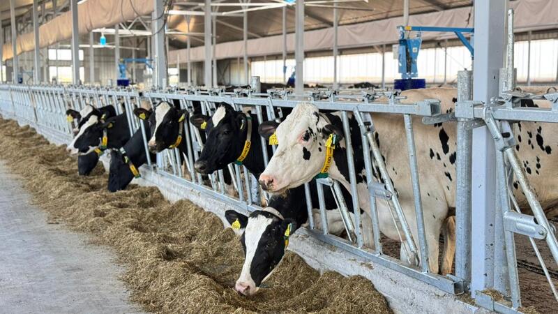 Молочно-товарную ферму на 1 075 голов ввели в эксплуатацию в ВКО
