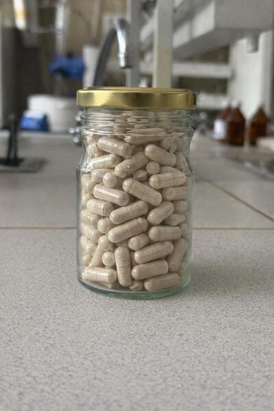 Ученые разрабатывают растительную БАД для укрепления иммунитета и профилактики диабета