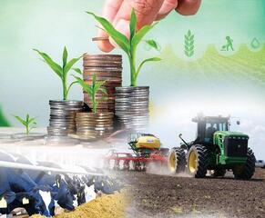 Объем валовой продукции сельского хозяйства увеличился на 4% за январь–май 2025 года