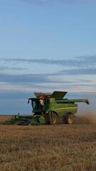 Почти 9,5 млн тонн зерновых намолочено в Казахстане