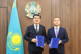 Казахстан развивает сотрудничество в сфере лесоклиматических проектов