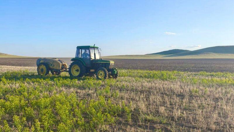 Работа на упреждение: В Карагандинской области обработано 75 тыс. га от саранчи