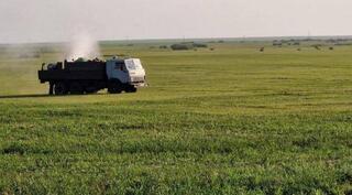 В Актюбинской области против саранчи обработано 669 тысяч га