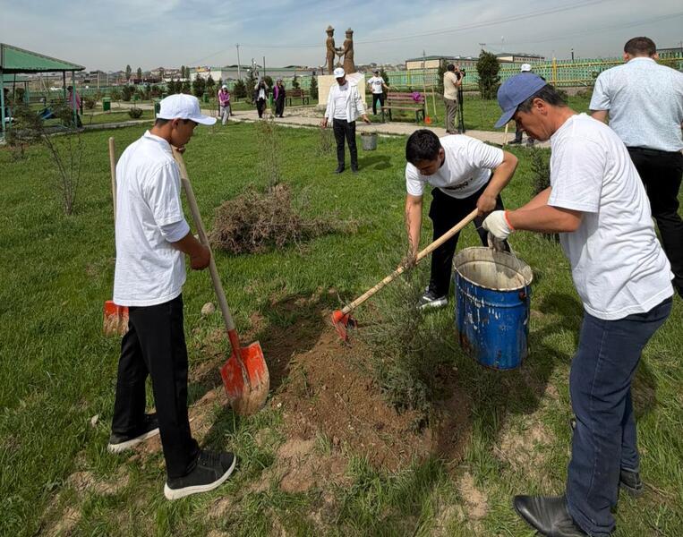 В ТУРКЕСТАНСКОЙ ОБЛАСТИ В РАМКАХ ПРОЕКТА