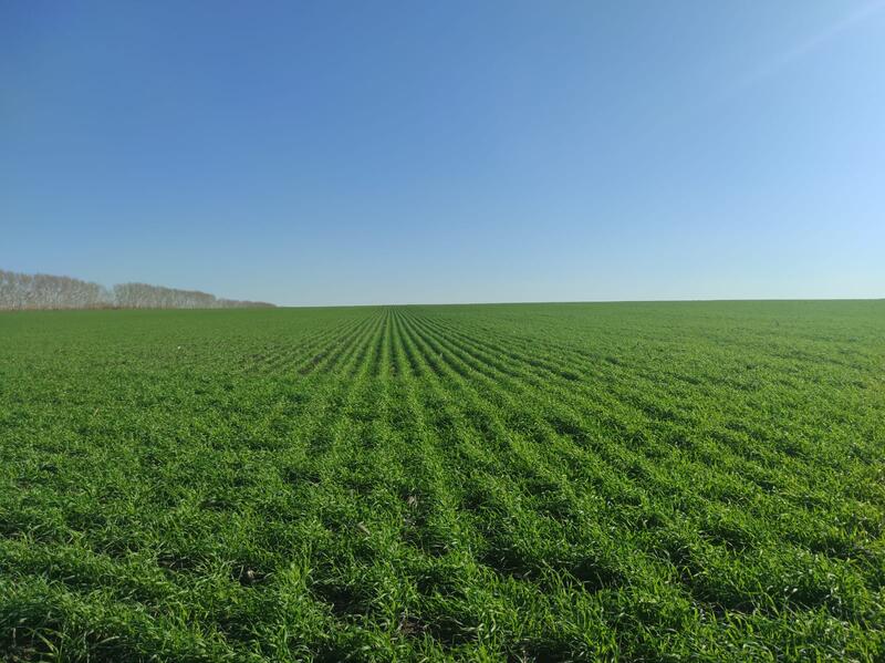 В ВКО предлагают разработать региональную стратегию развития агросектора