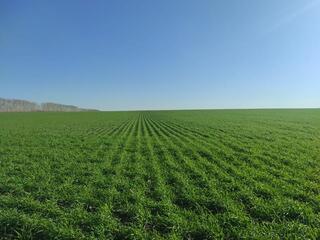 В ВКО предлагают разработать региональную стратегию развития агросектора