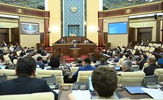 Мажилис ратифицировал соглашение с Фондом международного развития OPEC