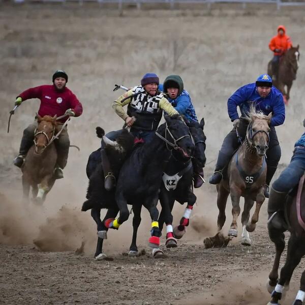 В Актобе отметили День «Салбурын», посвященный национальным видам спорта