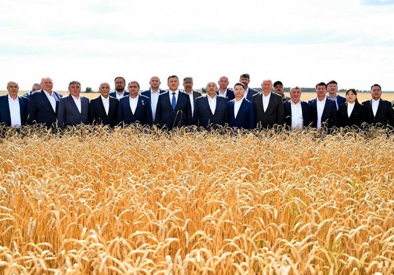 Аким области Гауез Нурмухамбетов доложил Президенту о ходе уборочной кампании в СКО