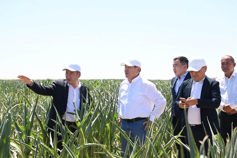 В Жалагаше активно реализуется проект агропромышленного кластера компании «Harvest agro»