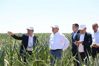 В Жалагаше активно реализуется проект агропромышленного кластера компании «Harvest agro»