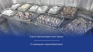 О ликвидации нарколабораторий
