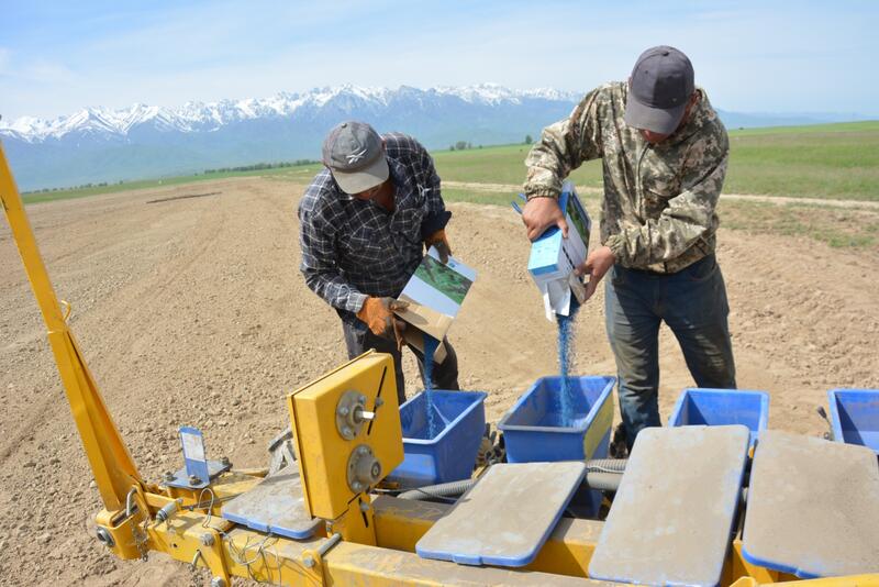 В Жамбылской области в 2026 году сельхозкультуры разместят на площади 665,4 тыс. гектаров