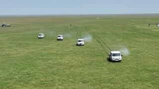 ТУРКЕСТАН: ИНВЕНТАРИЗАЦИЯ ТЕХНИКИ И РАБОЧЕЙ СИЛЫ В БОРЬБЕ С САРАНЧОЙ ПРОВОДИТСЯ ЕЖЕДНЕВНО