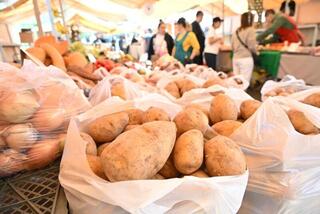 «С 2013 года посещаю эту ярмарку»: Алматинцы традиционно отмечают день города на ярмарках выходного дня