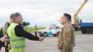 В Казахстан прибыла очередная партия лошадей Пржевальского в рамках международного проекта по восстановлению вида