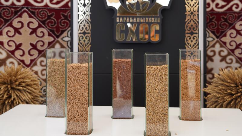 В Костанайской области представили передовые агротехнологии и достижения отечественной селекции