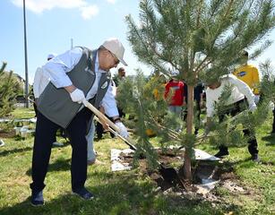 Республиканская акция «Жасыл желек»: в области Жетісу было высажено более 8 тысяч деревьев