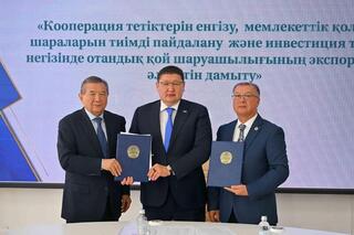 В области Абай прошел международный семинар-совещание по вопросам развития отечественного овцеводства