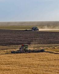 14,8 млн тонн зерновых намолочено в Казахстане