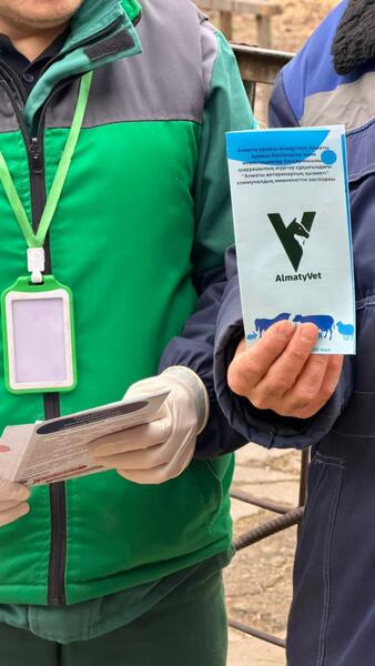 В Алматы бесплатно вакцинируют сельскохозяйственных животных